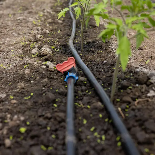 irrigation system